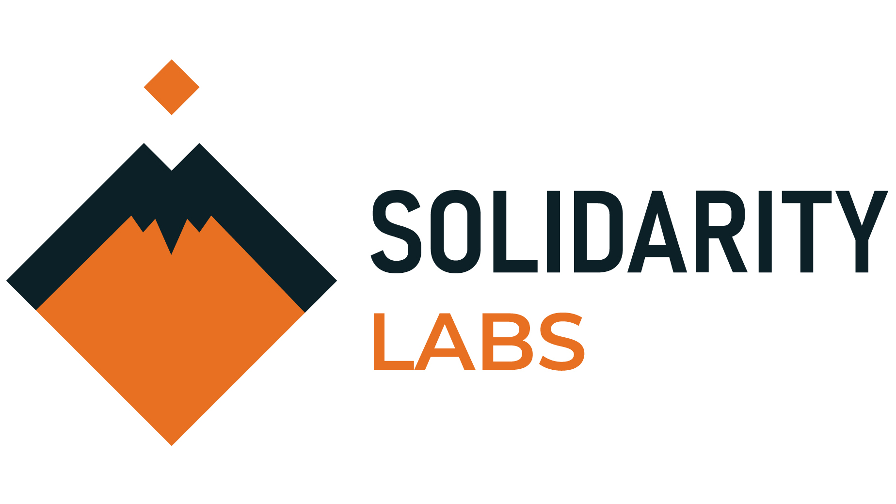 Solidarity Labs